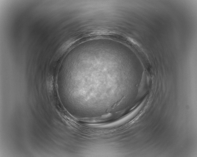X0000065251161200602171420
