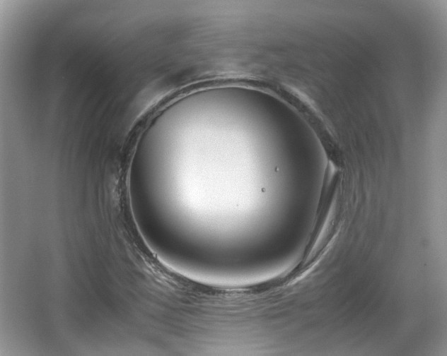 X0000065251163200602171420