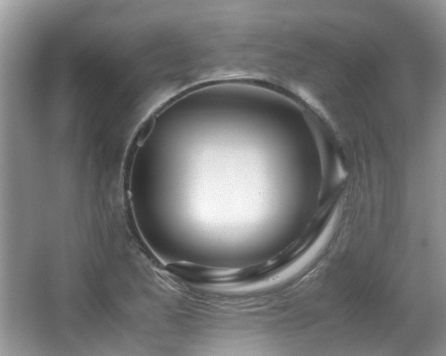 X0000065251173200602171420