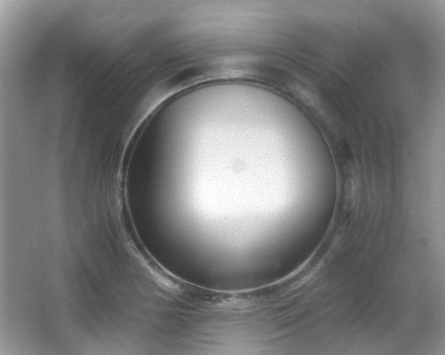 X0000065251178200602171420