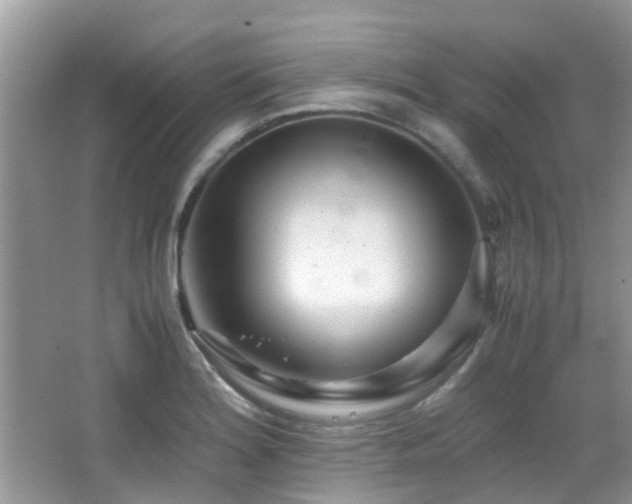 X0000065251180200602171420