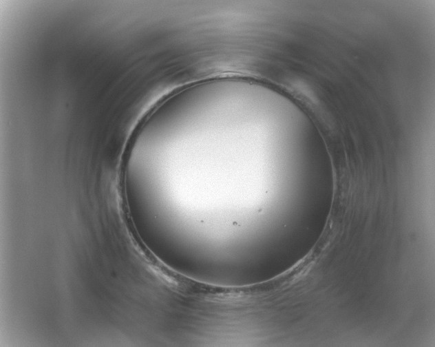 X0000065251182200602171419