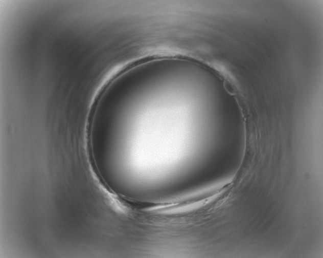X0000065251183200602171419