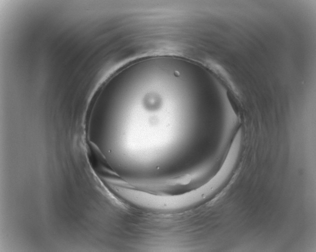 X0000065251184200602171419