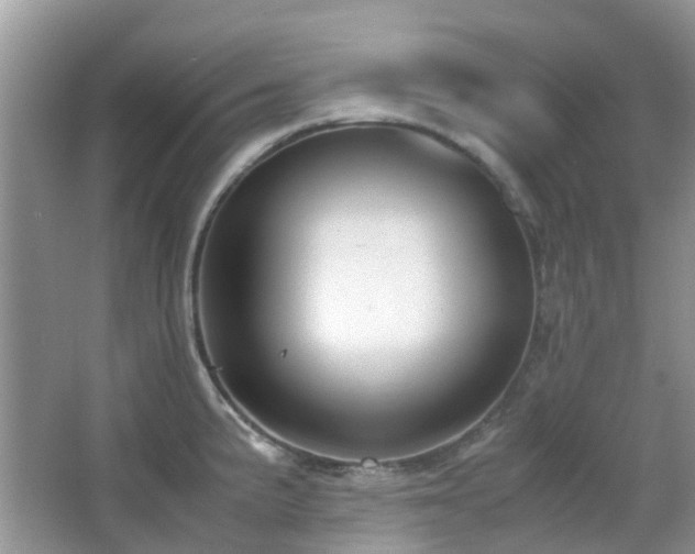 X0000065251191200602171419