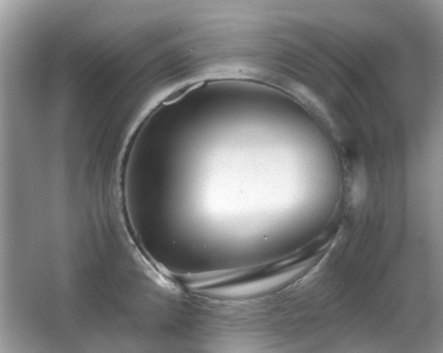 X0000065251192200602171419