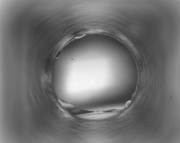 X0000065251193200602171419