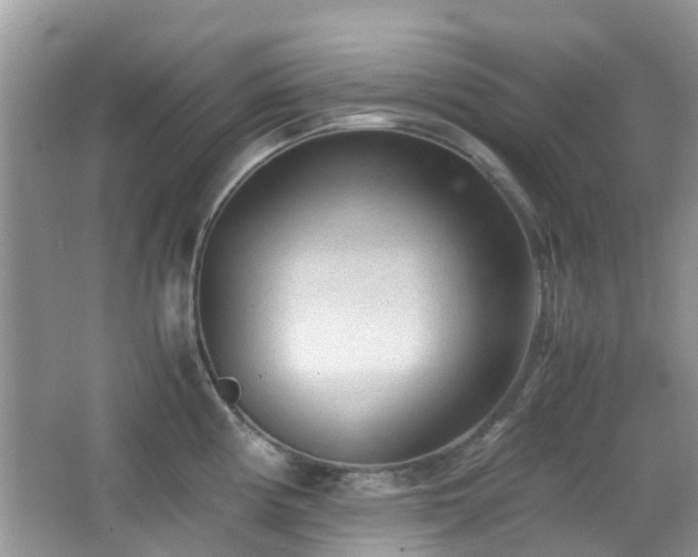 X0000065251194200602171419
