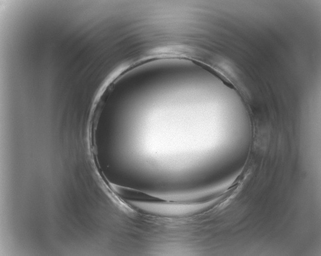 X0000065251196200602171419