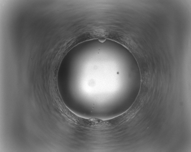 X0000065251201200602171418