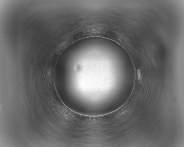 X0000065251203200602171418