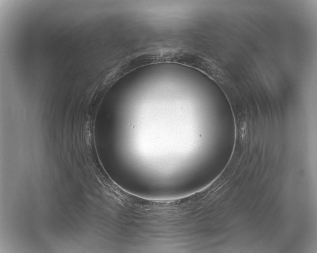 X0000065251204200602171418