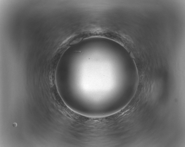 X0000065251205200602171418