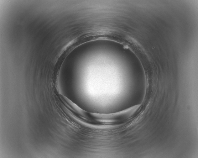 X0000065251210200602171419