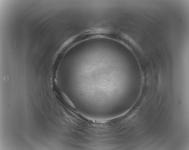 X0000065251213200602171419