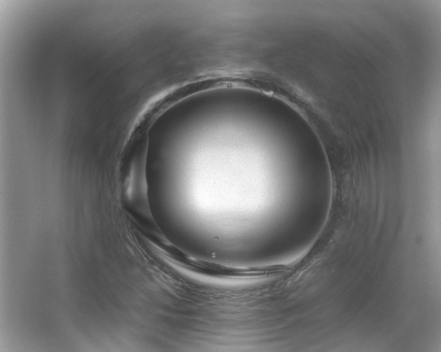 X0000065251214200602171419