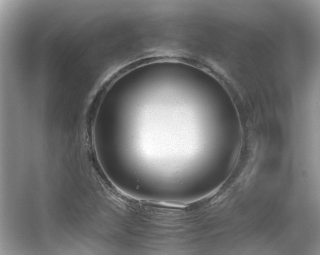 X0000065251215200602171419