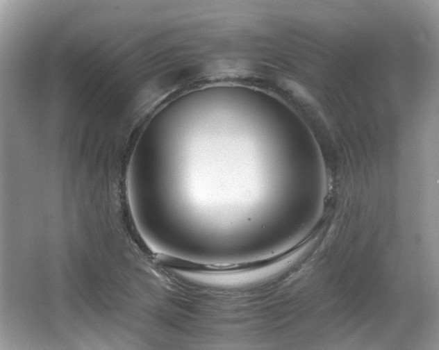 X0000065251217200602171419
