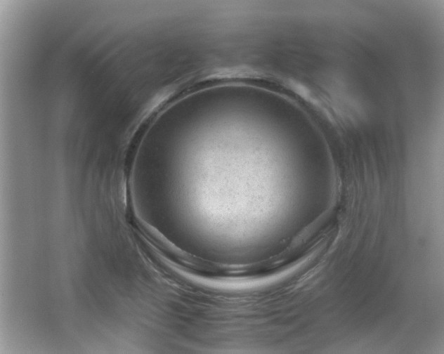 X0000065251221200602171419
