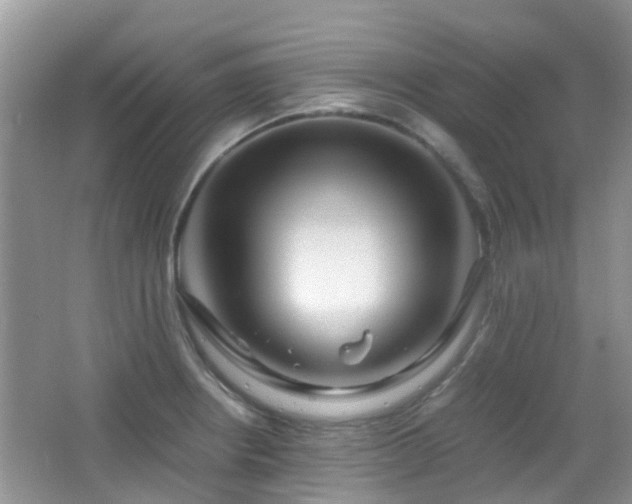 X0000065251234200602171419