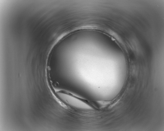 X0000065251237200602171419