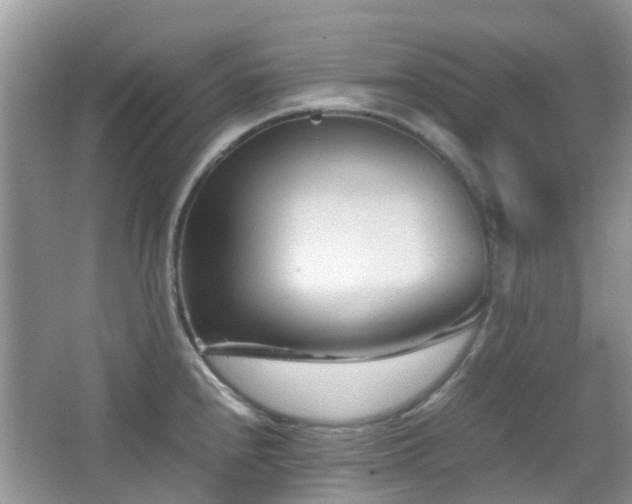 X0000065251240200602171419