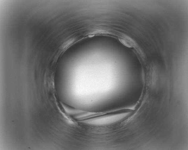 X0000065251241200602171419