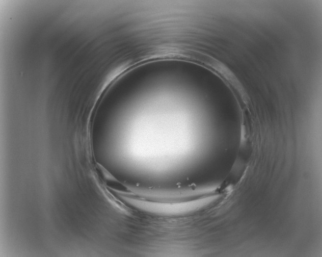 X0000065251242200602171419