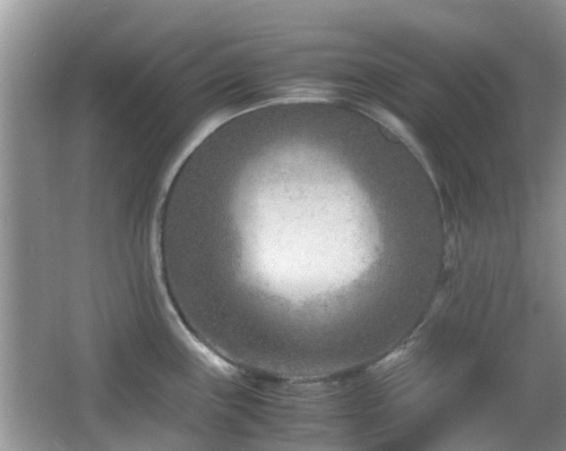 X0000065251243200602171419