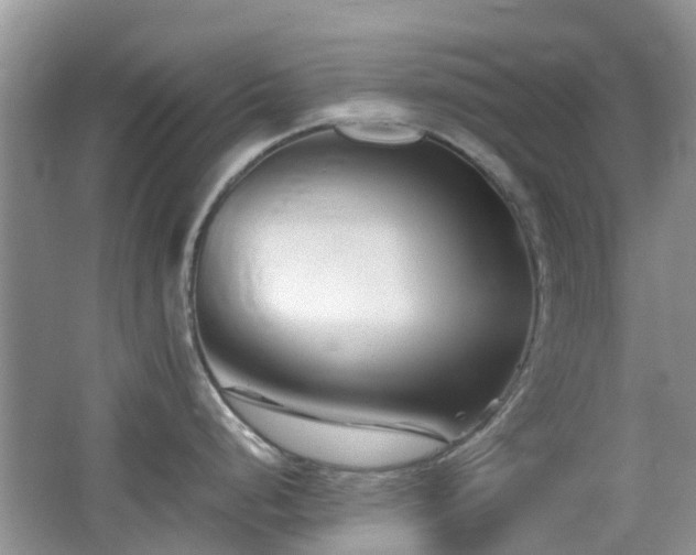 X0000065251248200602171419
