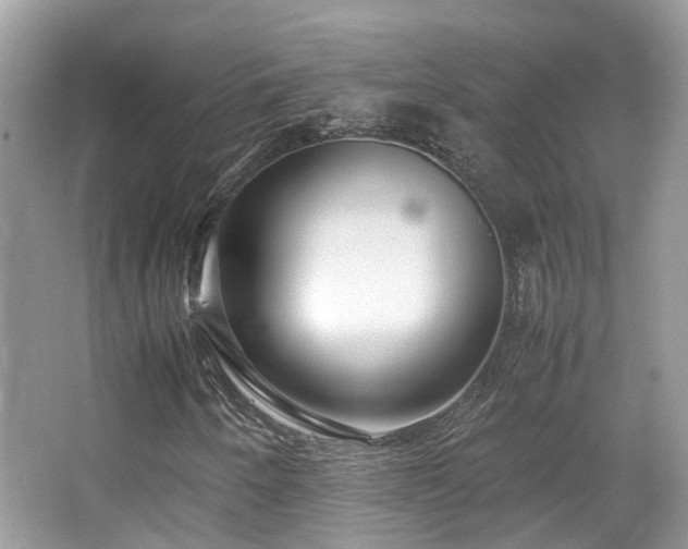 X0000065251250200602171418