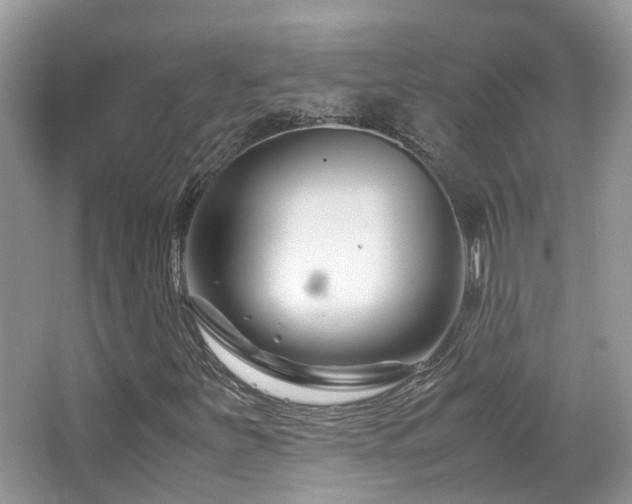 X0000065251251200602171418
