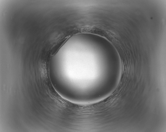 X0000065251252200602171418