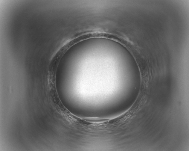 X0000065251255200602171418