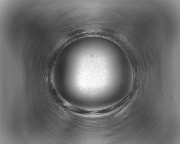 X0000065251257200602171418