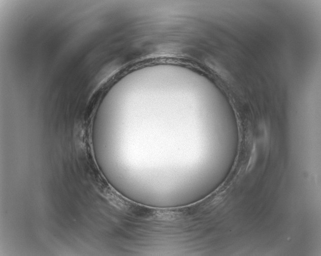 X0000065251258200602171418