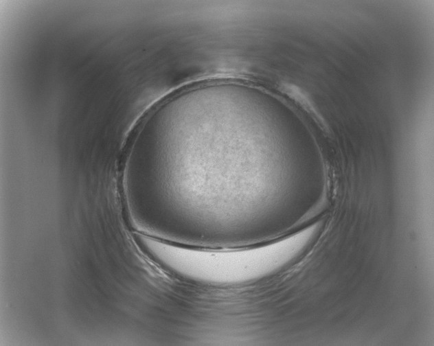 X0000065251260200602171418