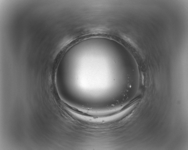 X0000065251261200602171418