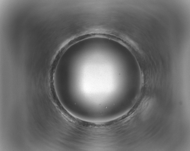 X0000065251264200602171418