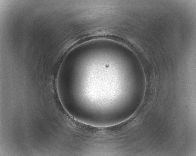 X0000065251265200602171418