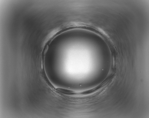 X0000065251269200602171418