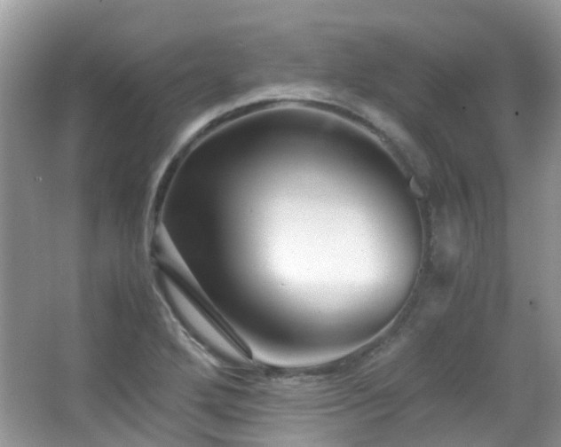 X0000065251272200602171418