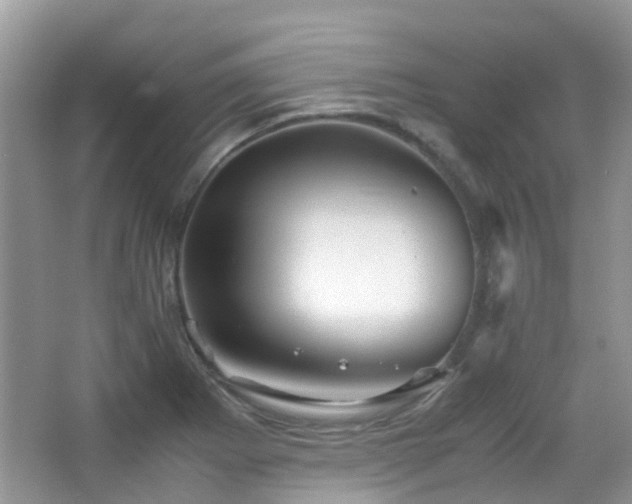 X0000065251273200602171418