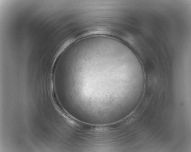 X0000065251274200602171418