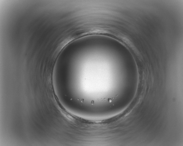 X0000065251281200602171418