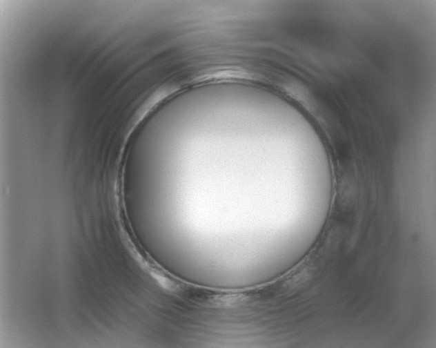 X0000065251282200602171418