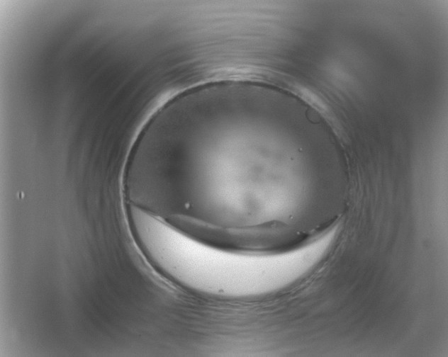 X0000065251283200602171418