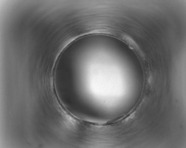 X0000065251284200602171418
