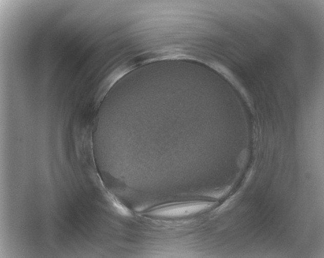 X0000065251289200602171418