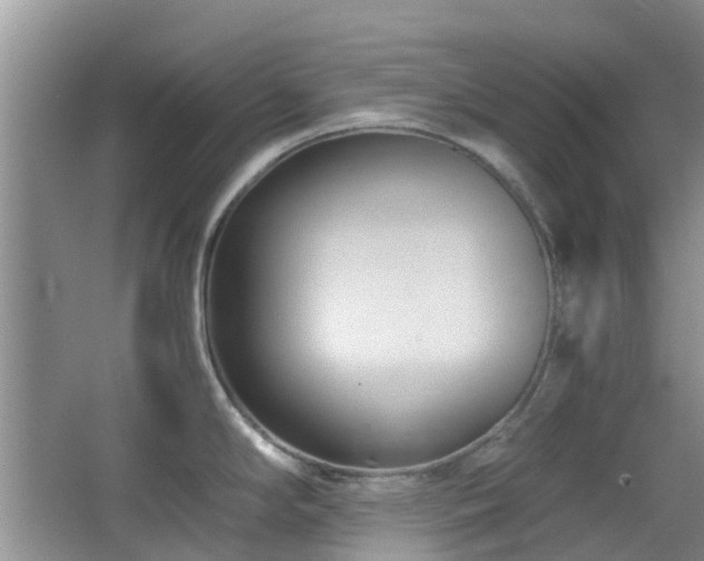 X0000065251294200602171418